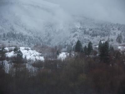 Image00005