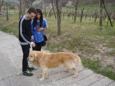 Image00006