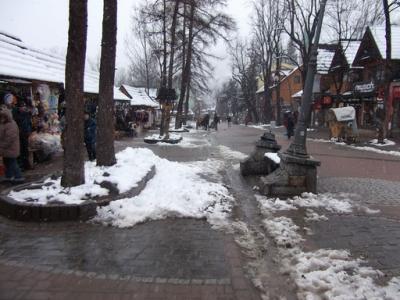 Image00012